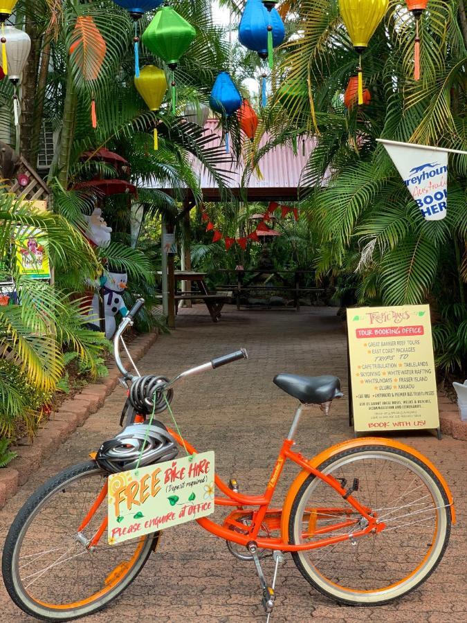 Tropic Days Boutique Hostel Cairns Exterior foto